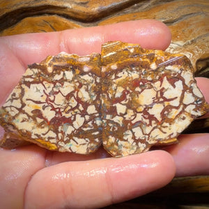 311.9cts - Tribal Yowah Nut Opal Rough Pair. Australian Opal