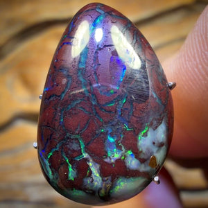 16.4cts - “Chemical Flames” Tribal Queensland Boulder Opal from Koroit