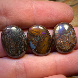 54.2cts - 3x Australian Tribal Boulder Opal’s. Wholesale Parcel