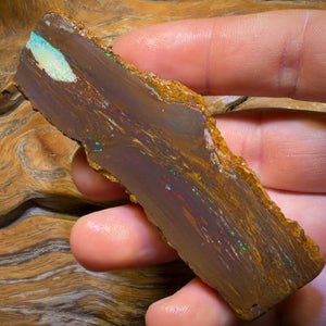 279.9cts - TOP Vegetation Fossil Replacement Boulder Opal Specimen Rub