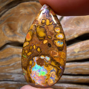 42.2cts -  Yowah Nut Conglomerate Opal. Australian Opal