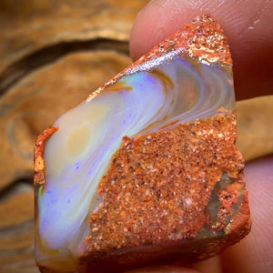 🔨 AUCTION 🔨 62.5cts - Boulder Pipe Opal Rough Piece. Australian Opal