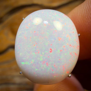 🔨 AUCTION 🔨 No Reserve 9.6cts - South Australian White Opal