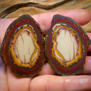 Wild Card! 416.1cts - RARE Yowah Nut Partial Crystal Centre Rough Specimen Pair