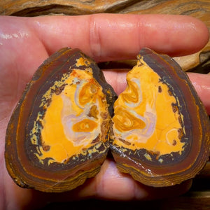 Bargain Card! 521cts - RARE Yowah Nut Partial Crystal Centre Rough Specimen Pair