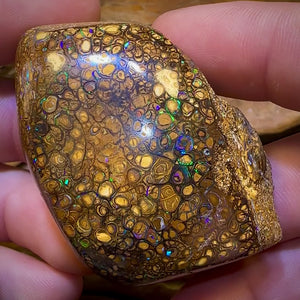 322.1cts - Rare Polished Tribal Yowah Nut Opal Geological Specimen with Gypsum