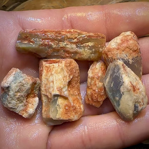 128.2cts - 6x Opalised Fossil Geological Specimens from Lightning Ridge