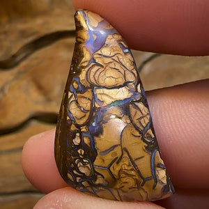 22.2cts - Queensland Boulder Opal from Yowah