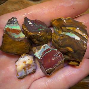🔒 221,6 cts - Lot de 5 opales brutes Yowah Nut. Opale boulder australienne.