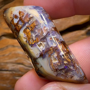 78.9cts - Large Australian Boulder Wood Fossil Opal