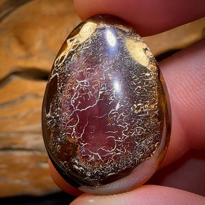 🔨 AUCTION 🔨 No Reserve 30.9cts - Tribal Australian Boulder Opal from Koroit