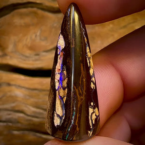27.1cts - Queensland Boulder Opal. Pyramid Cut