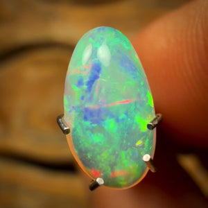 1.1cts - Polished South Australian Shell Fossil Opal