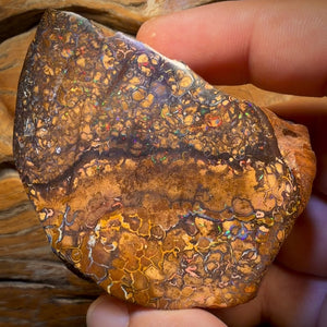 1033 Karat – Großer, polierter australischer Boulderopal im Stammesstil