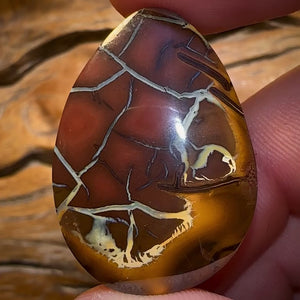 77.9cts - Queensland Boulder Opal BARGAIN