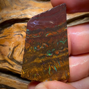Wild Card! 146.6cts - Tribal Yowah Nut Opal Rough Slab