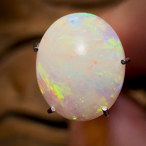 Auction Fall-Through = Your Gain! 🔥 Now More Than 50% Off RRP 🚨 1.65cts - South Australian White Opal
