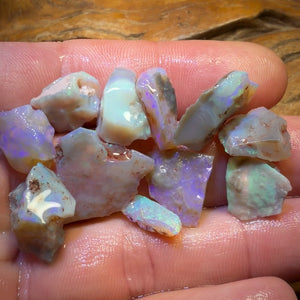 52.9cts - 11x Lightning Ridge Opal Rough Parcel