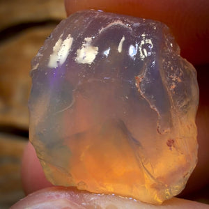 🔨 AUCTION 🔨 18.8cts - Opalised Shell Geological Specimen from South Australia. Pure Water Crystal