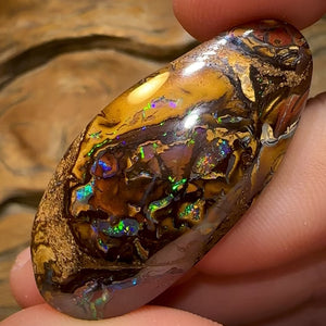 59.6cts - “Fruit cake” Koroit Nut Conglomeration Queensland Boulder Opal