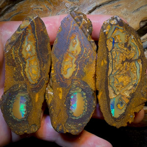 801cts - 3x Yowah Nut Crystal Centre Trio Rough Parcel. Australian Boulder Opal