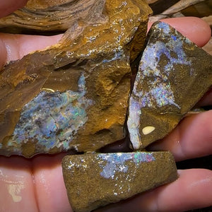 1107cts - 3x Queensland Boulder Opal Rough Parcel from Winton