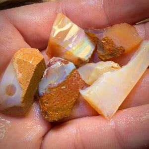 92.3cts - 6x Queensland Boulder Pipe Opal Rough Parcel