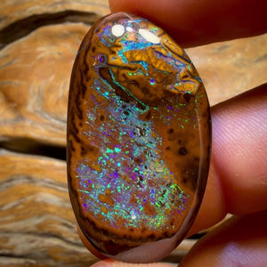 61.2cts - Top Queensland Boulder Opal from Yowah
