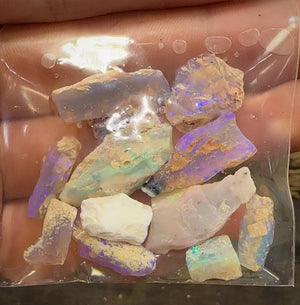 Australian 56cts - Lightning Ridge, Fossil Rough Opal Specimen