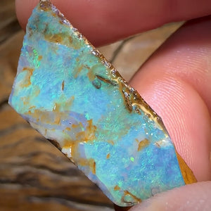 25.1cts - Queensland Boulder Opal Preform Rub