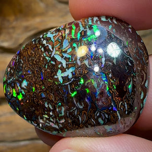 92.4cts - Tribal Koroit Nut Opal