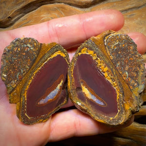 428cts - RARE Yowah Nut Crystal Centre Rough Specimen Pair
