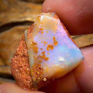 27.7cts - Boulder Pipe Opal Rough Piece. Australian Opal
