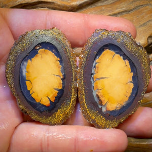 Wildcard! 315.1cts - RARE Yowah Nut Partial Crystal Centre Rough Specimen Pair