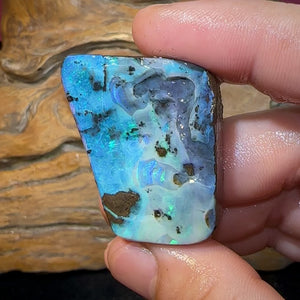 Australian 116cts - Boulder Opal Rough Rub Preform