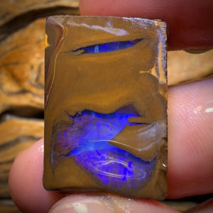 64,6ct – Queensland Boulder Opal Rohling Rohform aus Duck Creek
