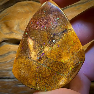 235cts - Tan Tribal Queensland Boulder Opal. Polished Specimen