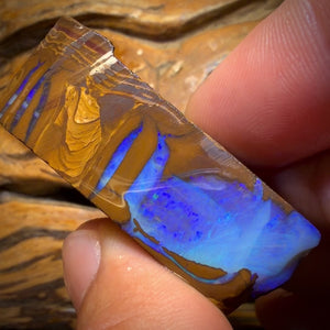 192.2cts - Found whilst Filming for Discovery Channel Duck Creek Boulder Opal Rough Preform
