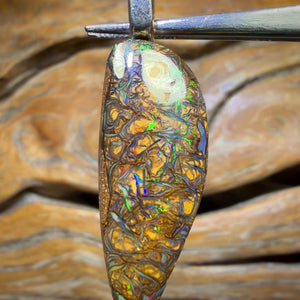 Solid Top Tan Tribal Tooth Queensland Boulder Opal Pendant
