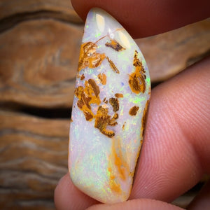 10.7cts - Yowah Nut Opal. Australian Opal
