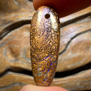 Bargain Card! 35 x 12mm - Drilled Tribal Queensland Boulder Opal