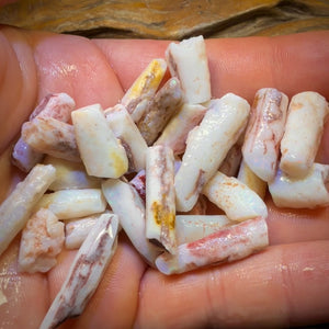 3 for $149! South Australian Fossil Belemnite Rough Opal Specimens. BULK LISTING BARGAIN