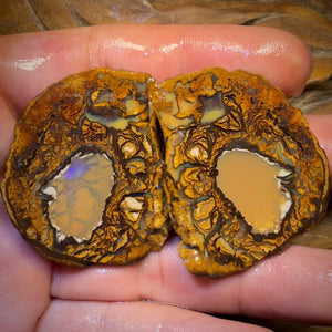 217.1cts - RARE Yowah Nut Crystal Centre Rough Specimen Pair