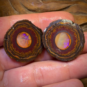 OpalFest Wildcard! 114.3cts - RARE Yowah Nut Crystal Centre Rough Specimen Pair