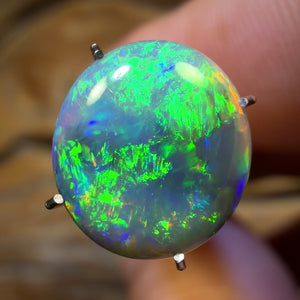 2.9cts -Lightning Ridge Black Opal