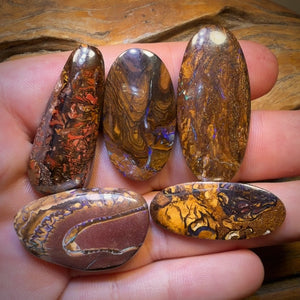 168.4cts - 5x Australian Tribal Boulder Opal’s. Wholesale Dealers Parcel