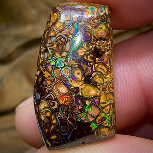 27.6cts - Yowah Nut Opal. Tribal Pattern