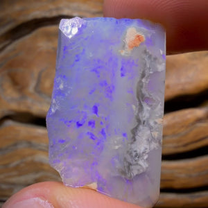 HDW 31.2cts - Lightning Ridge Dark Opal Rough Piece