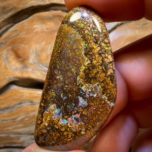 92.1cts - Tan Tribal Yowah Nut Opal. Red Multicolour
