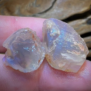 47.9cts - 2x Opalised Shell Geological Specimens from Lightning Ridge